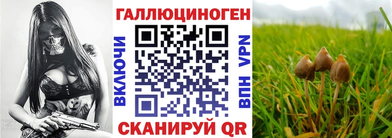 Галлюциногенные грибы Cubensis  Майский 